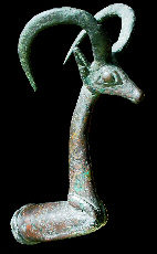 protomée d'ibex